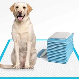 Factory direct price OEM strong absorbing ability 6 layers no leakage puppy training wholesale pet diaper pee pad