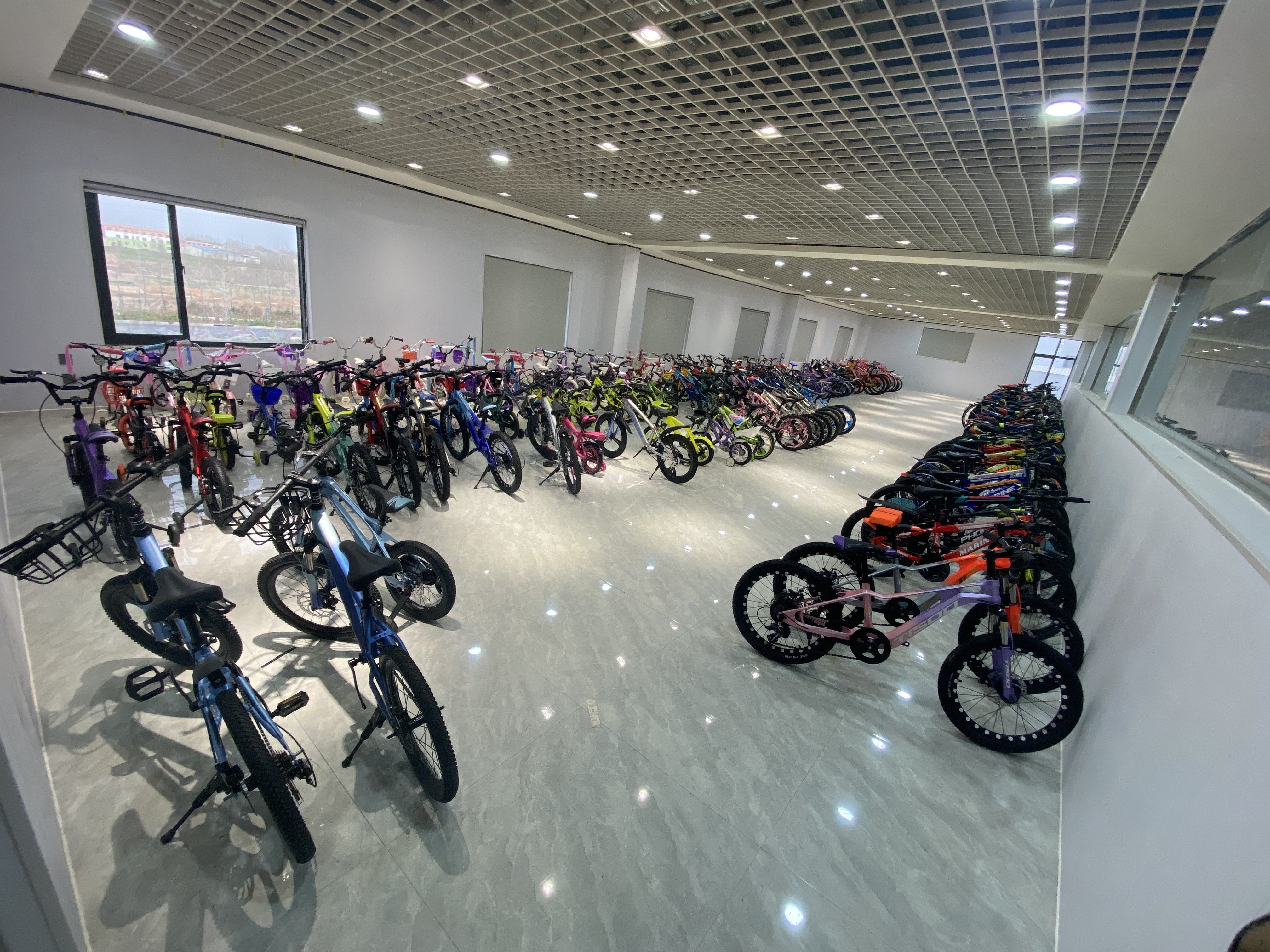 Pingxiang Yibaixin Bicycle Industry Co., Ltd. electric motorbikes