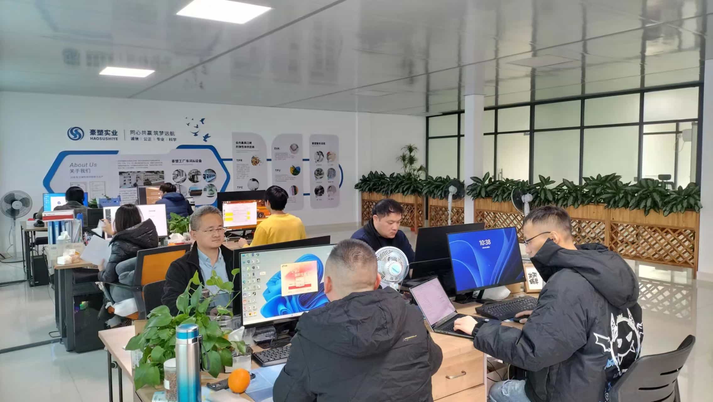 Shenzhen Haosu Industrial Co., Ltd. Thermoplastic Vulcanizate (TPV)