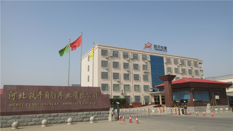 Hebei Tieniu Bicycle Industry Co., Ltd Swing Car