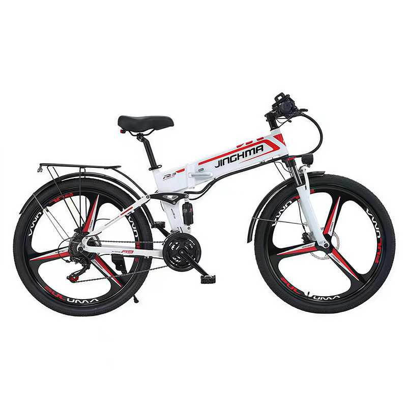 Hebei Richden Automobile Trading Co., Ltd. EU Free Shipping Foldable Electric Powered Mountain Bike