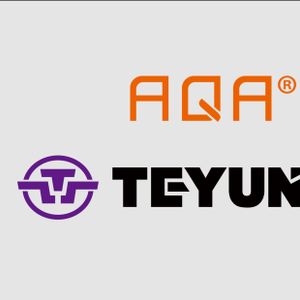 Company icon