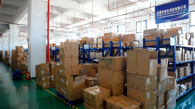 Dongguan Zesheng Technology Co., Ltd. Insoles