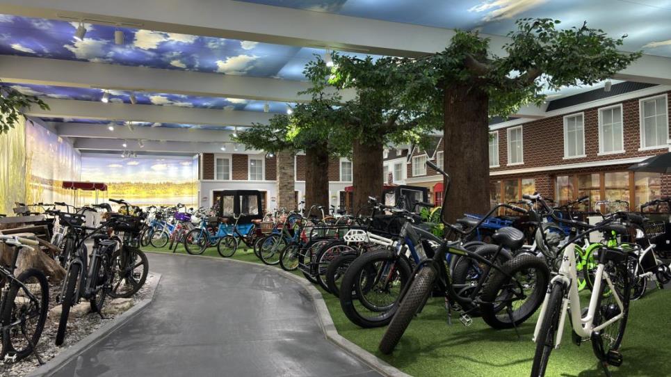 Ningbo Nanyang Vehicle Co., Ltd. Electric Tricycle