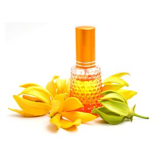 Ylang Ylang Essential Oil For Commercial use in India Hot-Selling Natural Essential Fragrance Oil For Aromatherapy diffuser