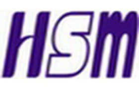 Hsuan Mao Technology Co., Ltd. logo