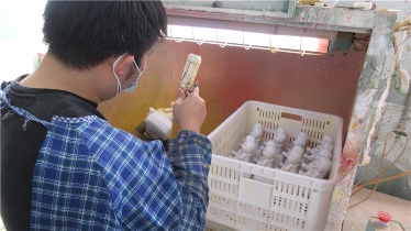 Quanzhou Tianrong Gifts Co., Ltd. Bobble heads