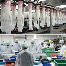 Pidegree Industrial Co., Limited Latex Gloves
