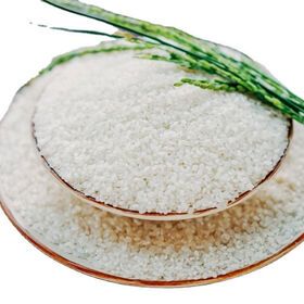Delicious  Japanese  Cheap White Bulk Rice Maker (Whatsapp: Mr Daivd 0084986778999)