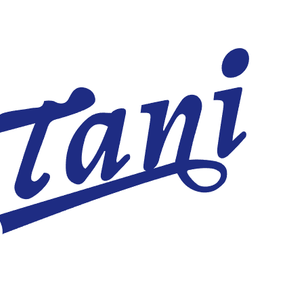 Company icon