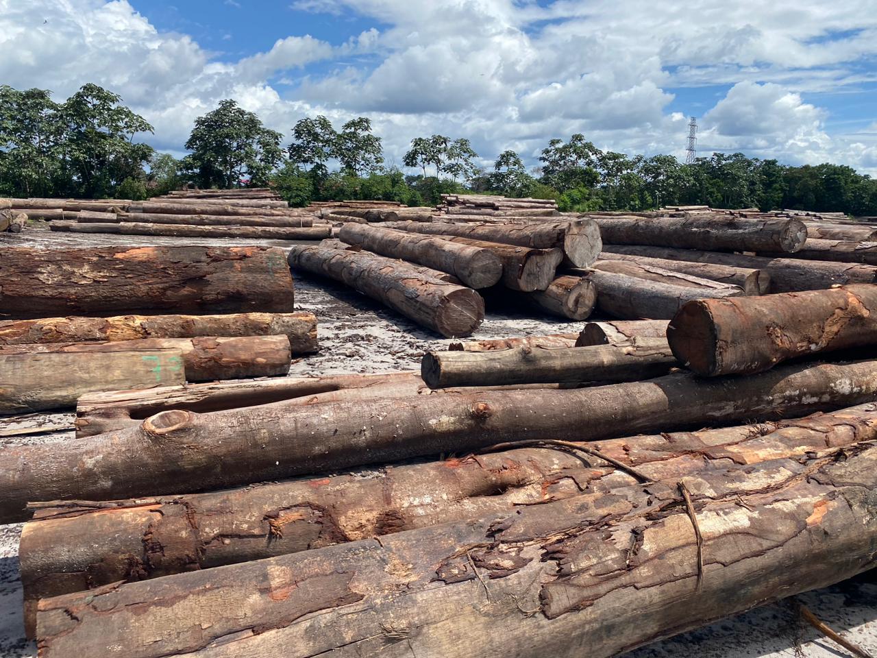 Exotic Wood Source Round Logs