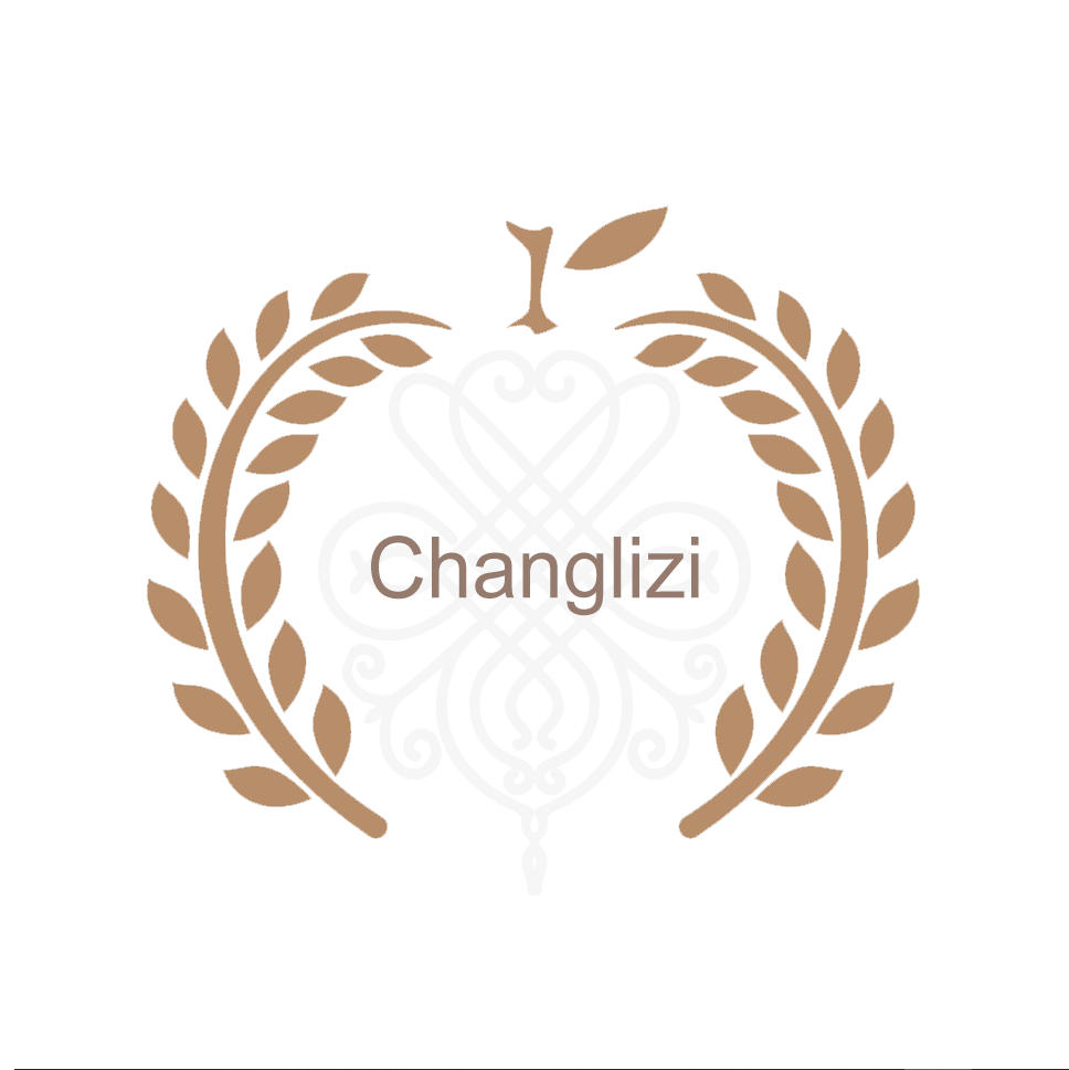 Puning Zhanlong Changlizi Garment Factory logo