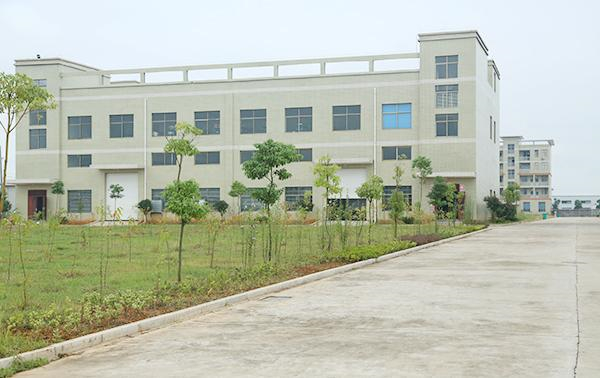 Shenzhen Daydream Technology Co., Ltd. Human Hair