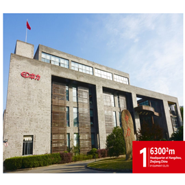 Zhejiang EP Equipment Imp. & Exp. Co., Ltd. Diesel Forklift
