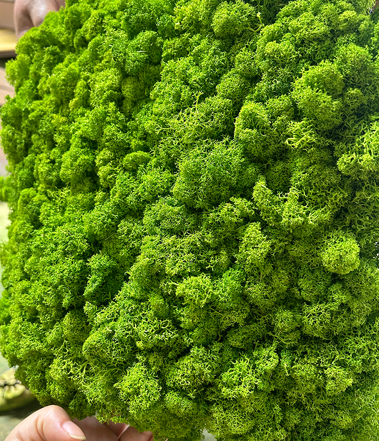 Wholesale Factory High Quality Moss Tiles Preserved Preserved Flowers Plants Ornament Stabilized Moss Flower Mix Color For Decor