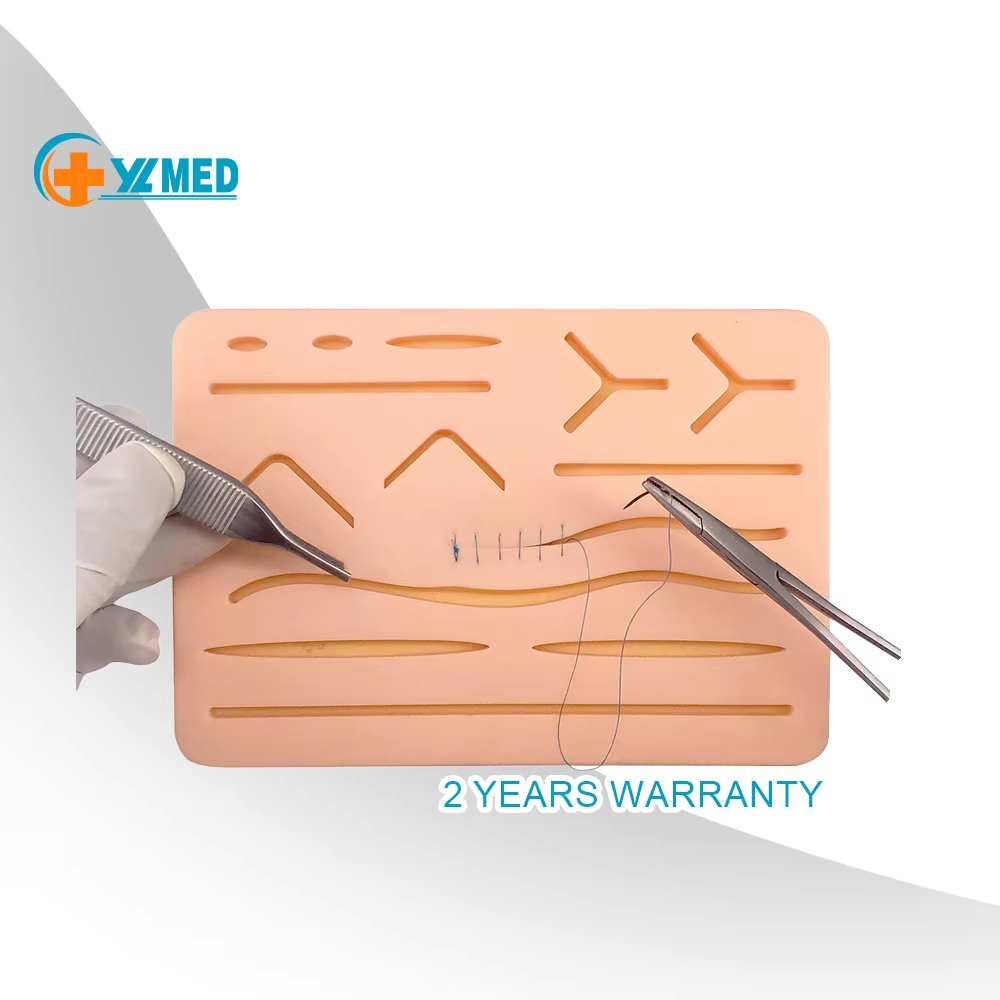 Teaching resources Medical Science Suture Kit Pad Surgical Training Use Suture Kit / For Medical Students Suture Training