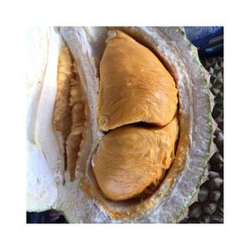 Best Selling Malaysia Penang High Hill Fresh D200 Durian Creamy Thick Tropical Asia A Grade Fruit Weight 2 kg