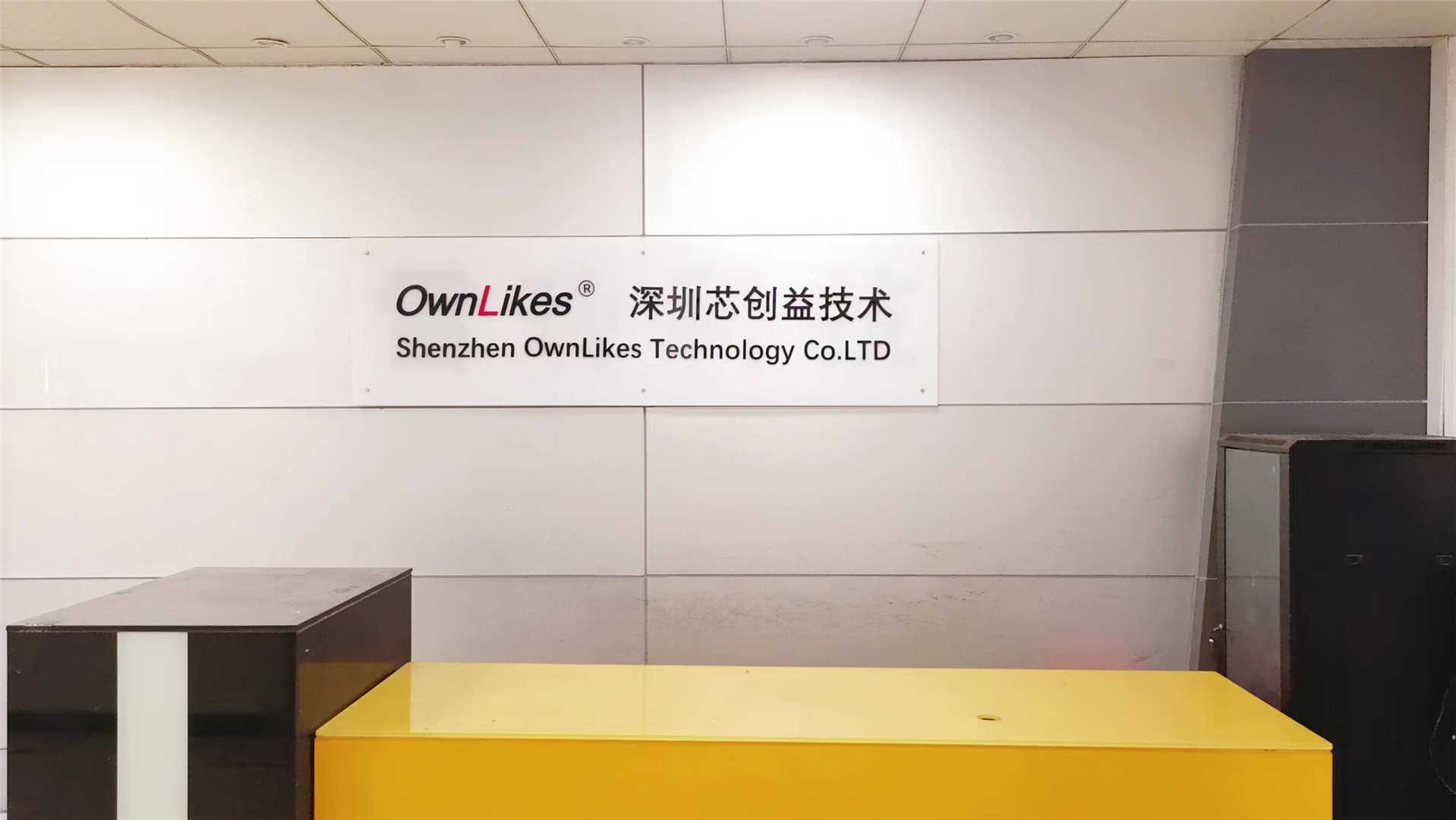 Shenzhen Ownlikes Technology Co., Ltd. factory image 2