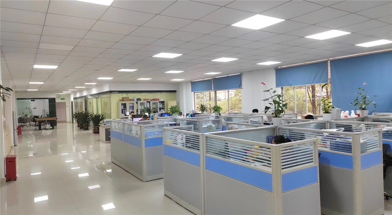 Shenzhen Golden Trees Technology Co., Ltd. factory image 3