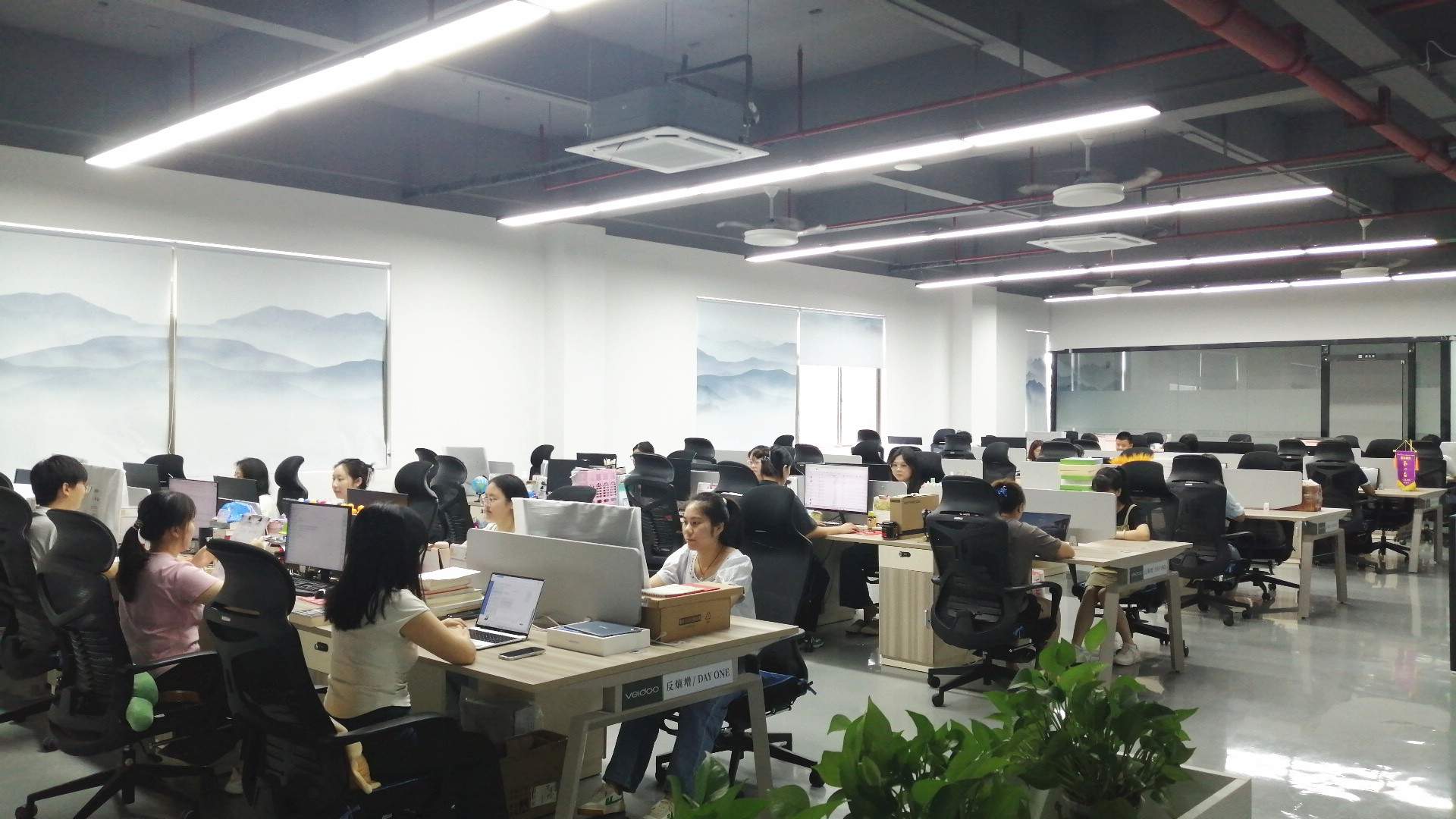 Shenzhen Veidoo Digital Vision Co., Ltd. factory image 5