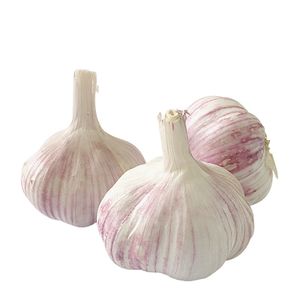 Request for Quotation Potatoes, Garlic & Onions High Quality