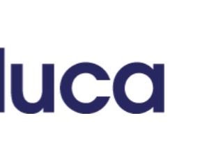 Company icon