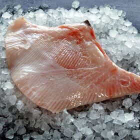 Frozen Ray Wings Fresh-ray-wings - Marrfish - Wholesale Fish & Seafood Delivery