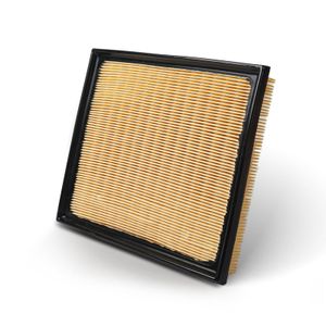 OEM Parts Engine Air filter 17801-F4010 for TOYOTA Sequoia Tundra