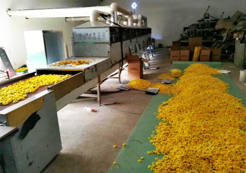Yunnan Mingyue Flower Co., Ltd. factory image 2