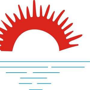 Company icon