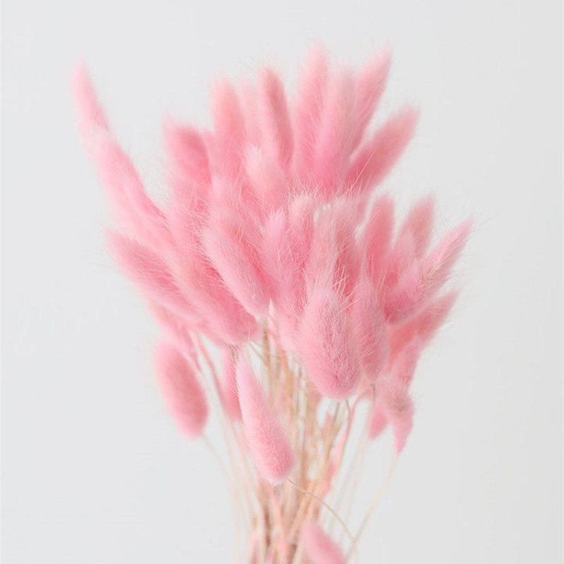 Yunnan Huazhu Trade Co., Ltd. Hot Selling Yunnan Factory Supply Dried Floral Rabbit Flowers Bunny Tail Grass With Best Quality