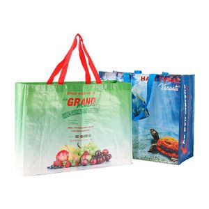 Custom pattern pp woven shopping bag large laminat grocery shopping bag with pocket pp woven