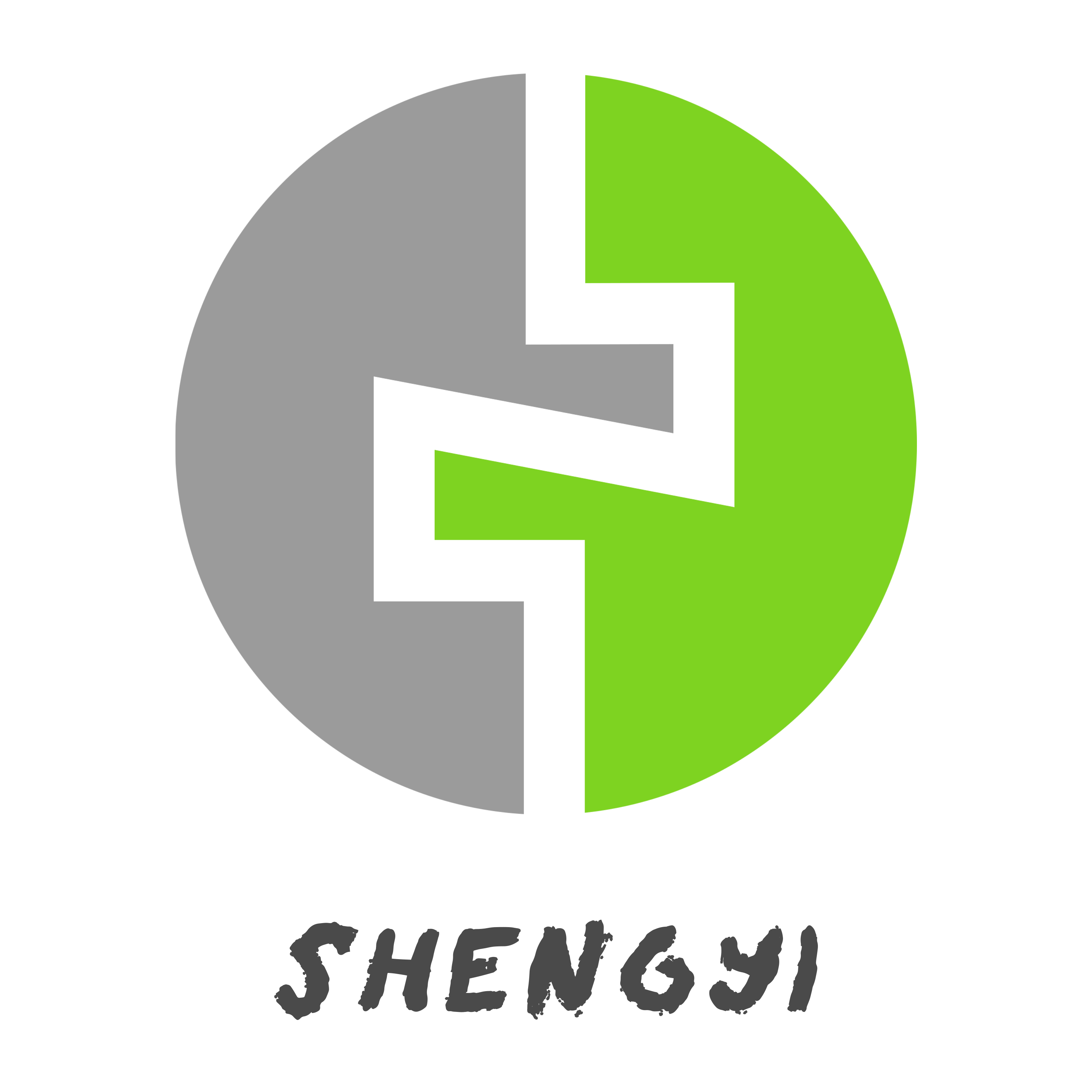 Changsha Shengyi Excellence International Trade Co., Ltd. logo