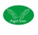 Shenzhen Angel Textile Company Ltd. logo