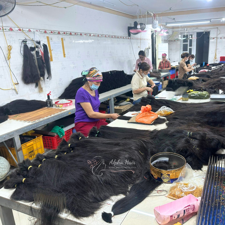 ALPHA HAIR VIETNAM CO., LTD Human Hair Extensions