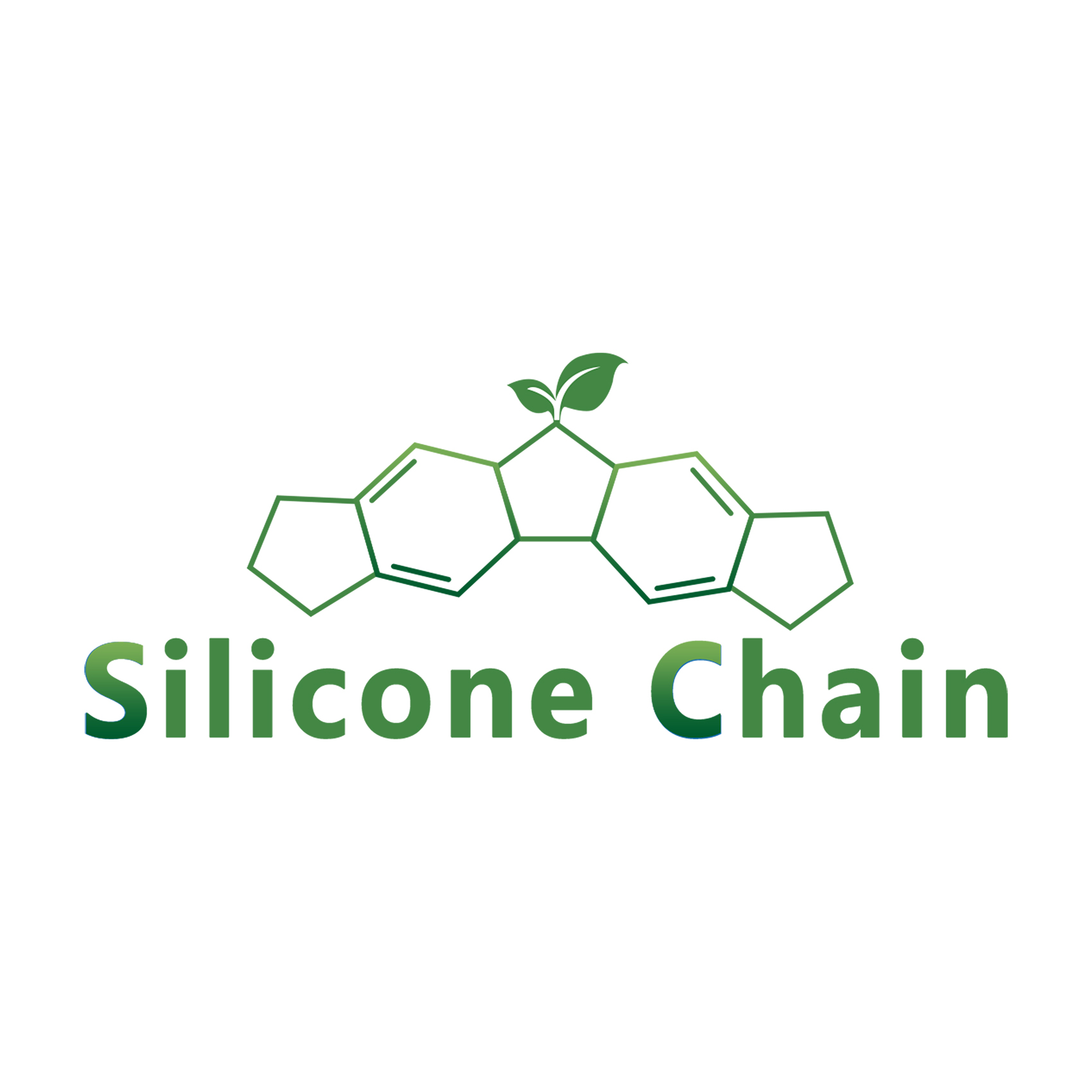 Dongguan Silicon Chain New Material Technology Co., Ltd. logo