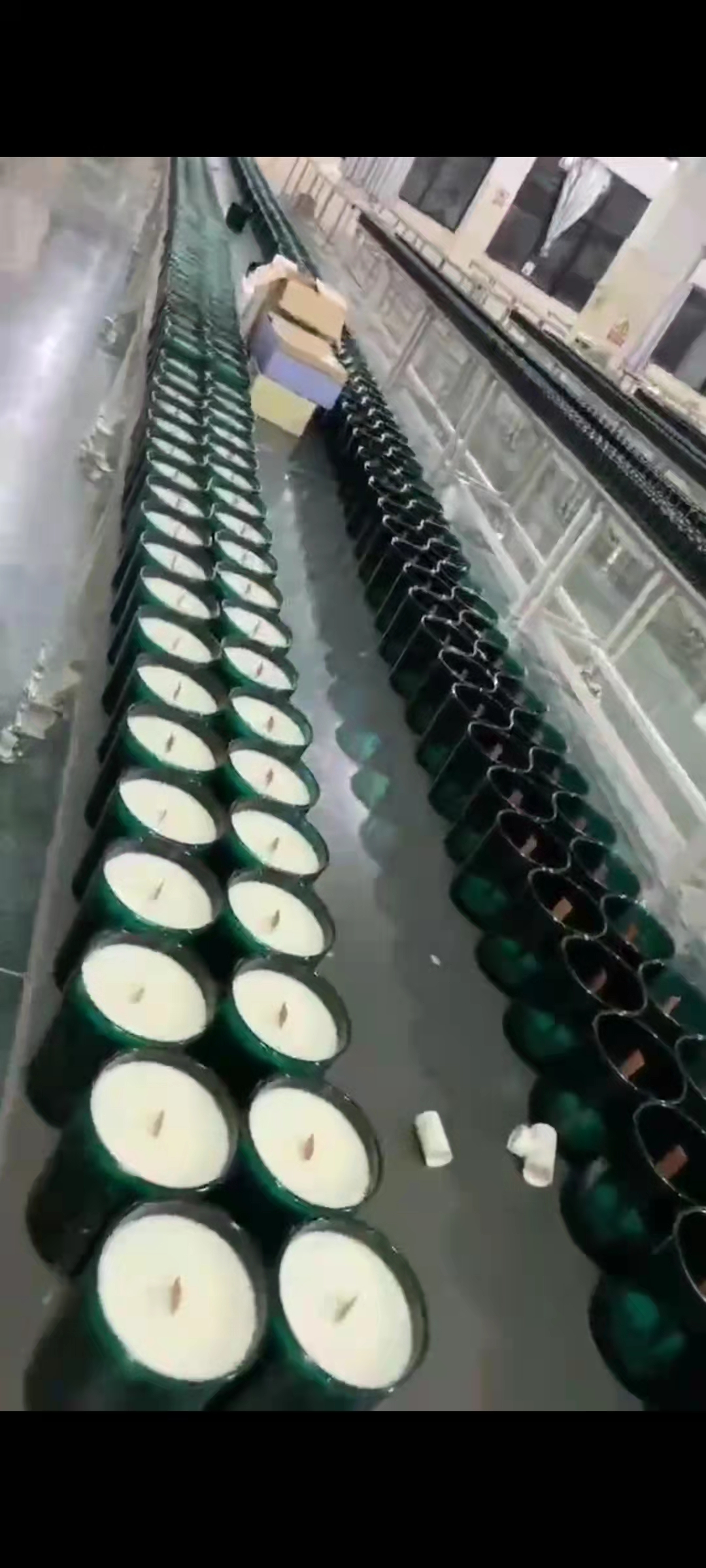 Anhui Xin Nian Hua International Trading Co., Ltd. factory image 2