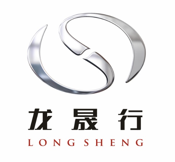 Shenzhen Longshenghang Automobile Trading Co., Ltd. logo