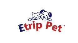 Company icon