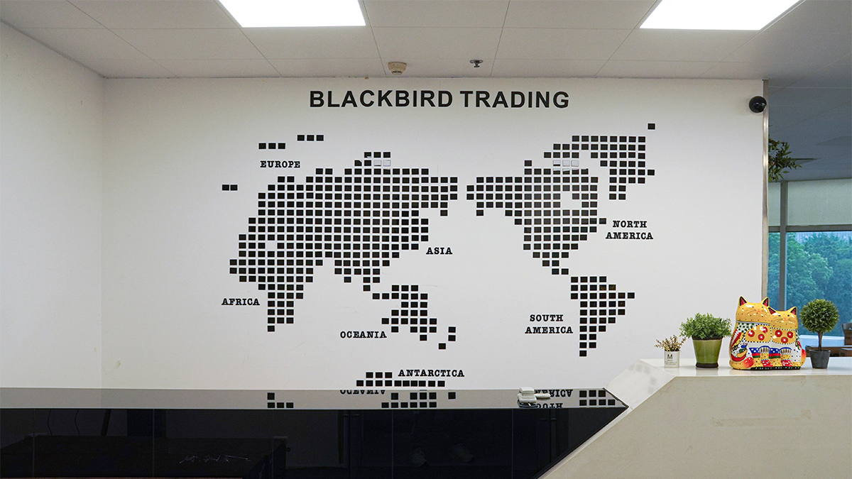 Foshan Blackbird Trading Co., Ltd. Facial Care