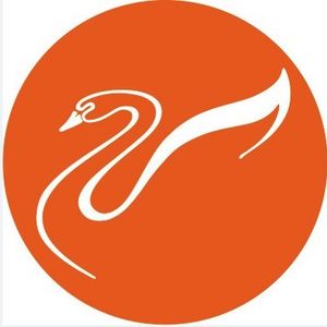 Company icon