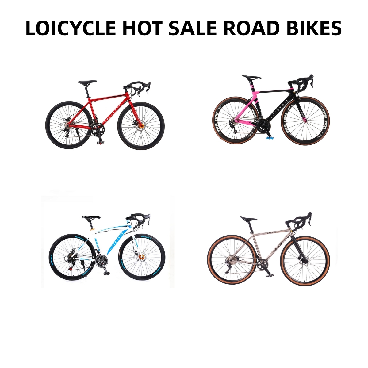 Loi Cycle (Tianjin) Co., Ltd. Electric Bike