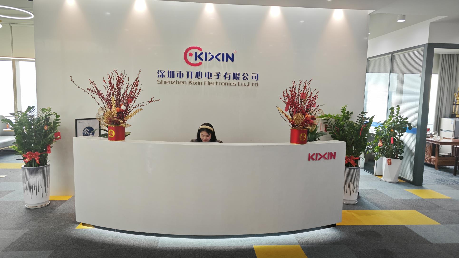 Shenzhen Kixin Electronics Co., Ltd Electric Bicycle