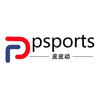 Dingzhou Feisheng Sports Goods Co., Ltd logo