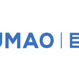 Company icon