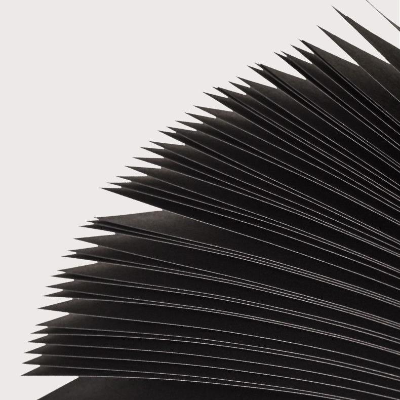 Qingdao Zhiguan Industry And Trade Co., Ltd. Art paper pulp cardboard Black card board sheet 250gsm Black Paper Roll