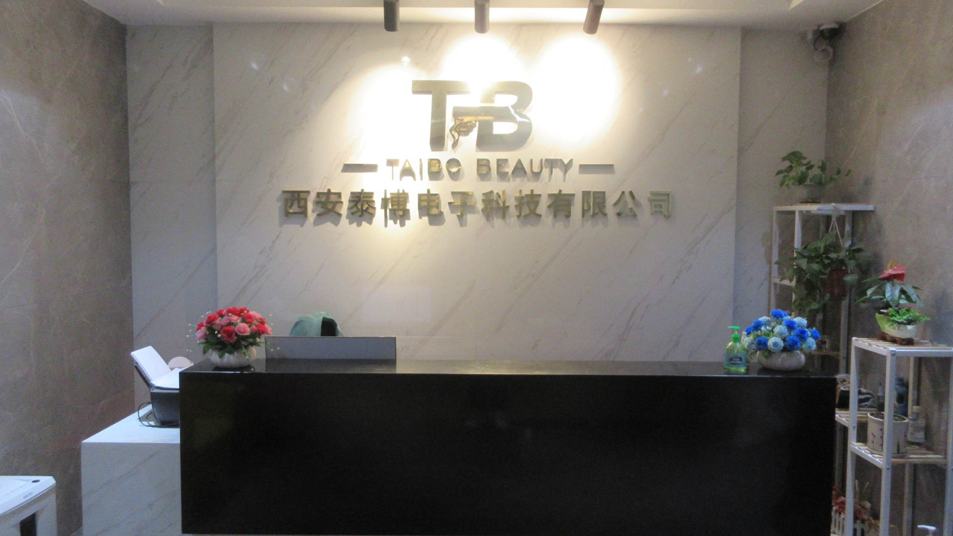 Xi'an Taibo Laser Beauty Company Diode Laser Hair Removal Machine