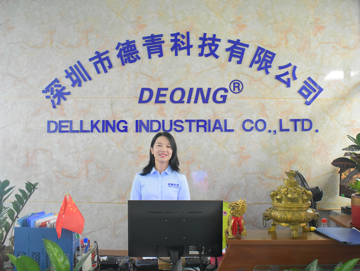 Shenzhen Dellking Industrial Co., Ltd. Bluetooth helmet intercom