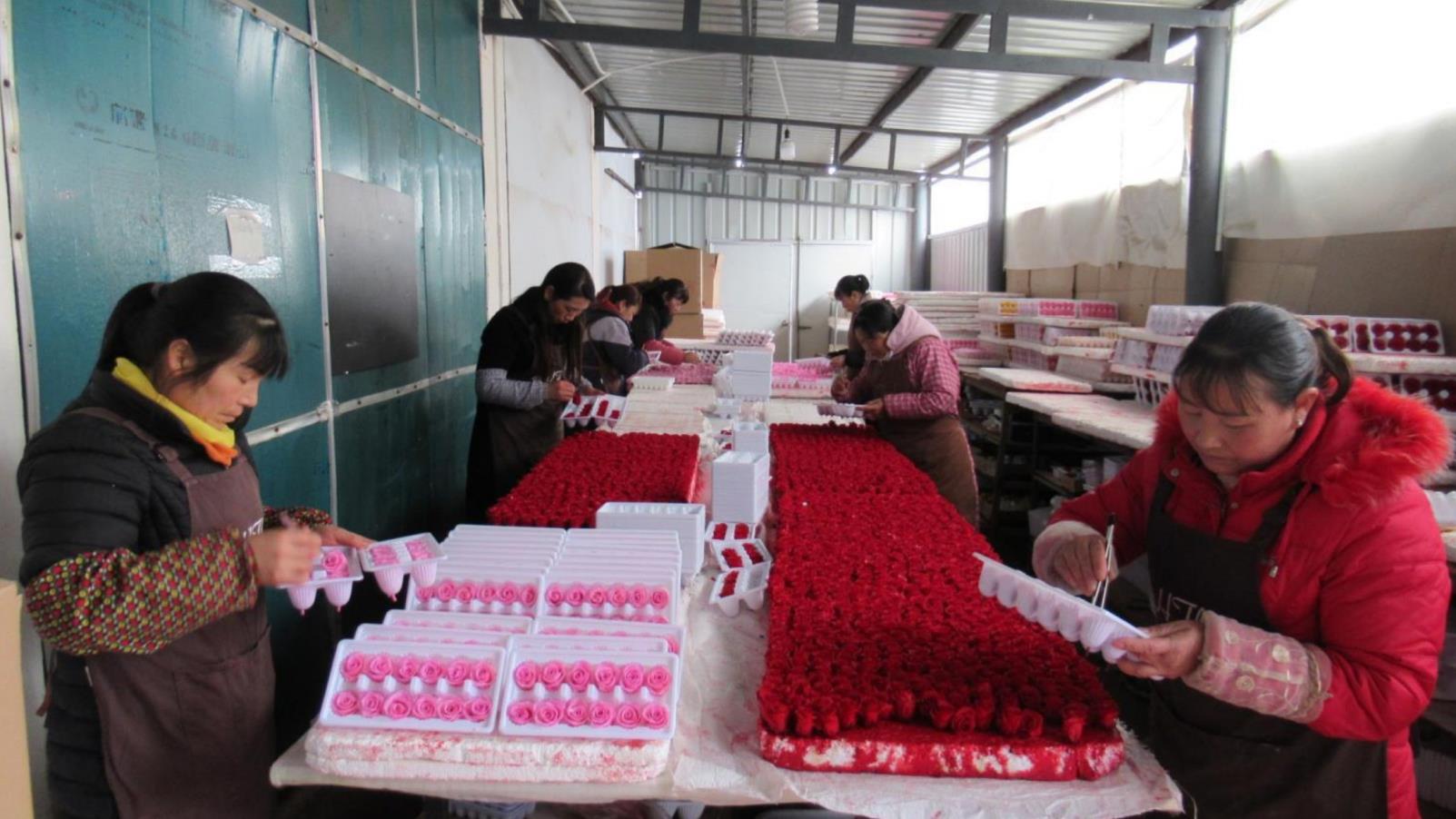 Yunnan Airui Floral Science and Technology Co., Ltd. Kunming Branch factory image 6
