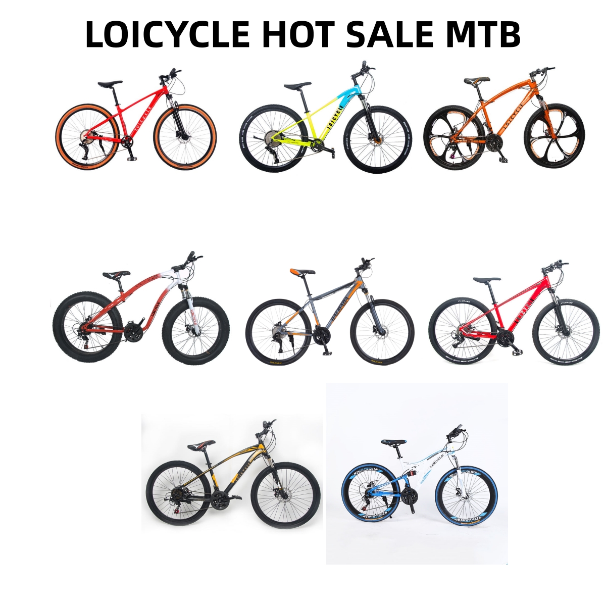 Loi Cycle (Tianjin) Co., Ltd. Mountain Bike